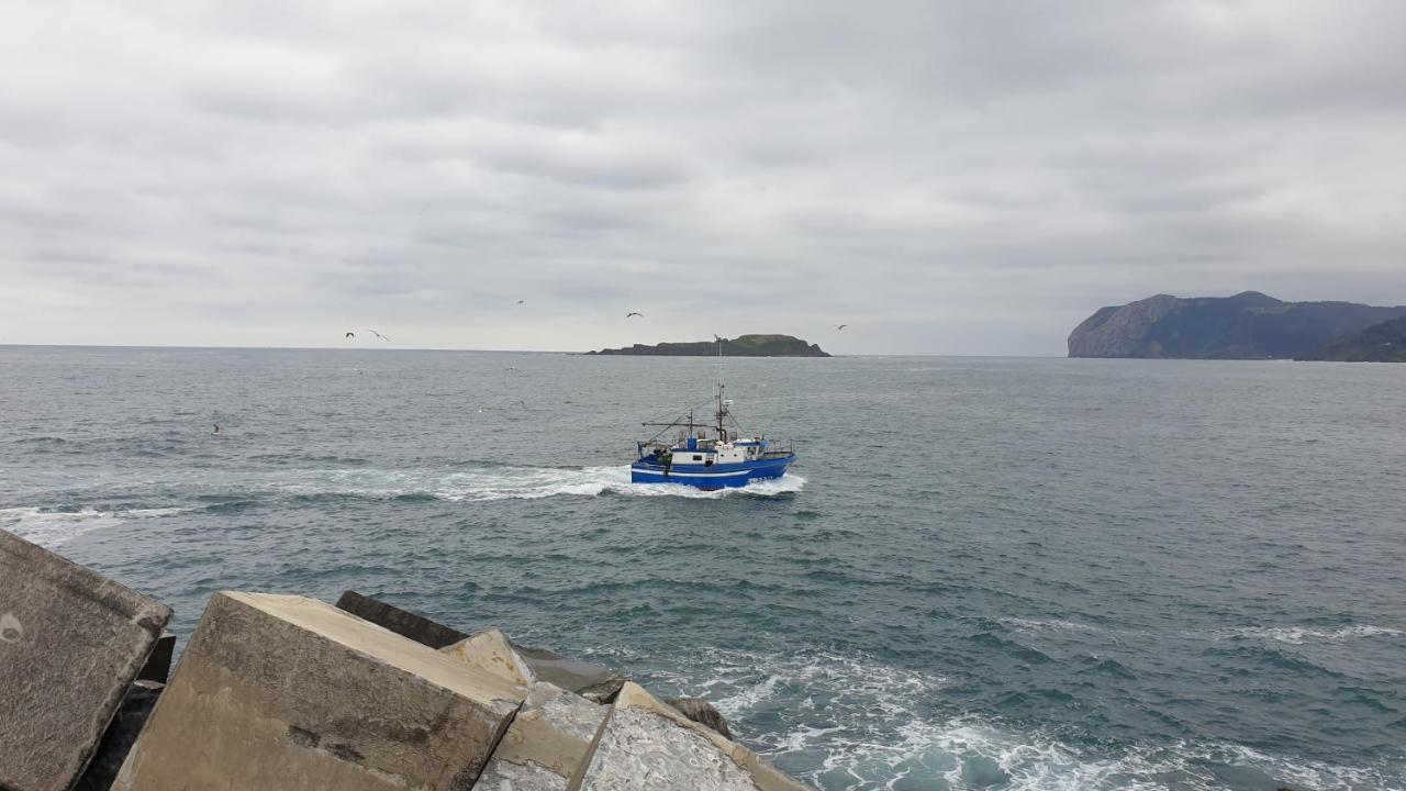 Gure Erremedio * Bermeo